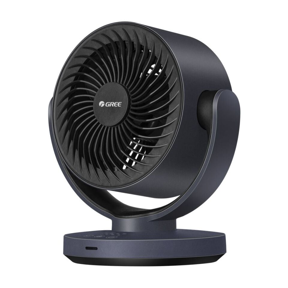 Fandesk Fan