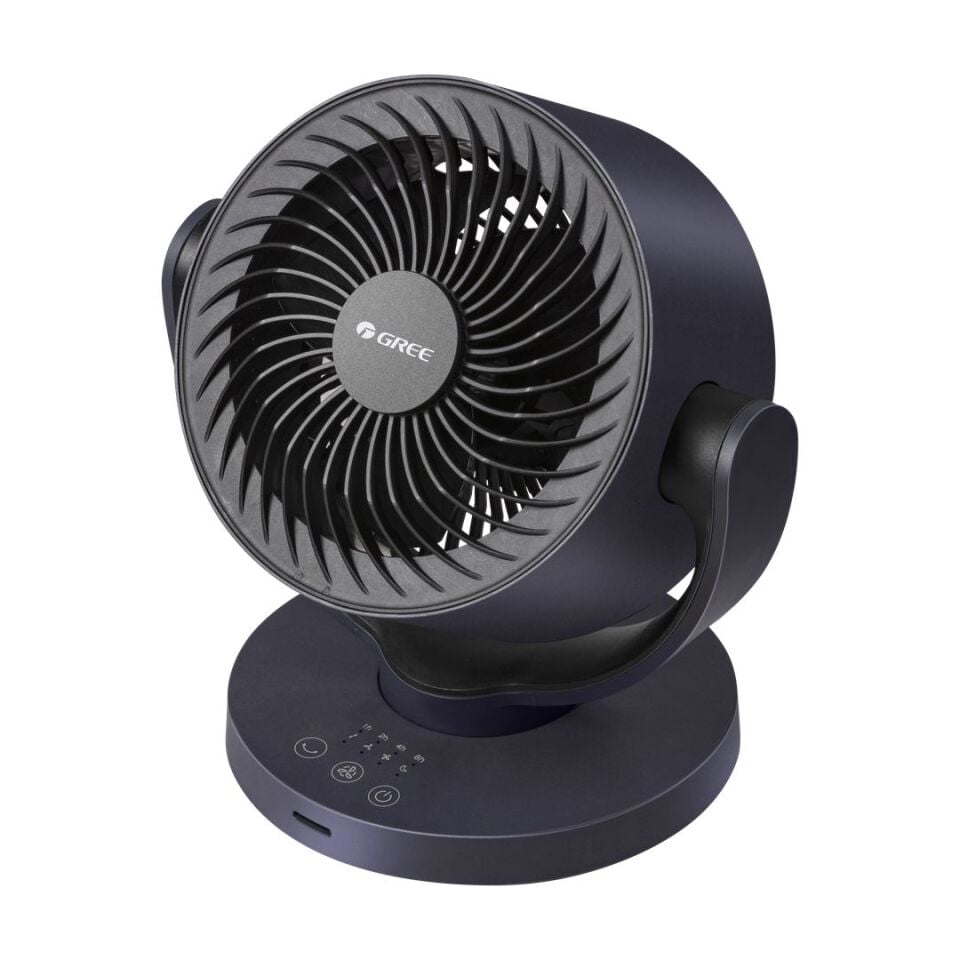 Fandesk Fan